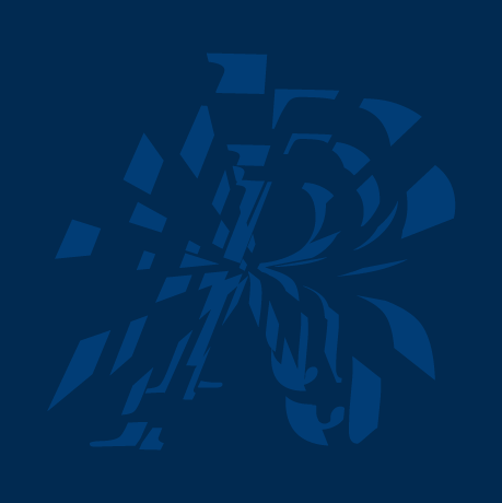 Logo Reproducing Realities